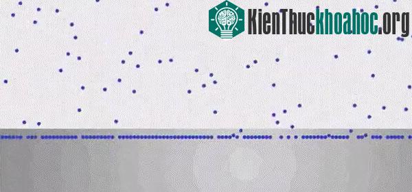 Màn hình sapphire “siêu bền” được làm ra như thế nào? ảnh 7