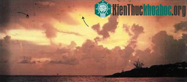 Lời giải khoa học cho hiện tượng "ruồi bay trước mắt"