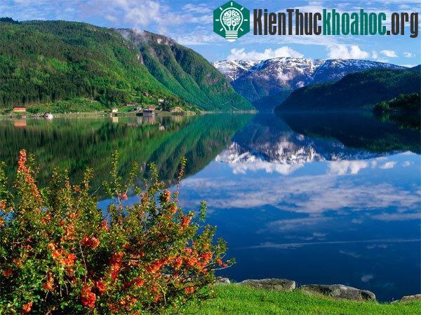 Các quốc gia nằm ở vùng Scandinavia sở hữu khí hậu trong lành và cuộc sống giàu có, đầy đủ