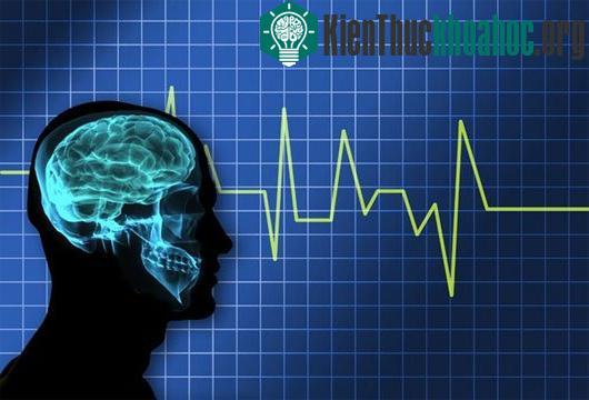 Điều gì sẽ xảy ra nếu "kích điện" vào bộ não chết