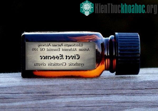 Qua những bước xử lý hương liệu thích hợp, xạ hương của cầy sẽ trở thành một vật báu thật sự