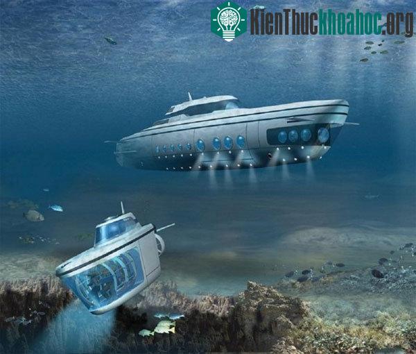 Chi phí để sản xuất một chiếc tàu ngầm Phoenix-1000 tới 80 triệu USD. Nó được thiết kế với 10 phòng ngủ, phòng tập thể dục, hầm rượu, bể bơi và nhiều hơn thế nữa. Tàu ngầm này có thể hoạt động ở độ...