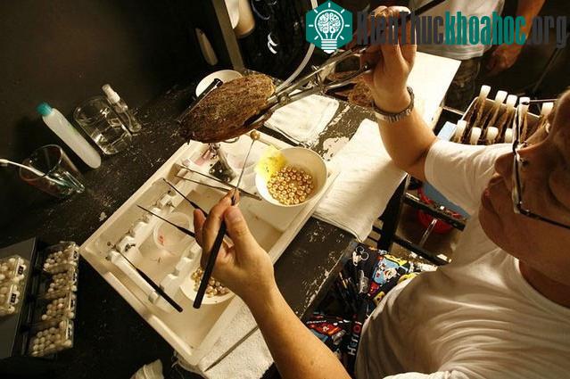 Xưởng chế tác để lấy ngọc.