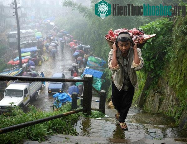 Cuộc sống kỳ lạ tại nơi “ẩm ướt nhất thế giới”