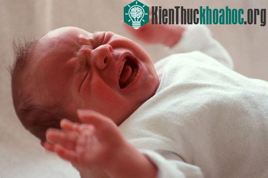 Cha, mẹ rành tiếng khóc của con như nhau
