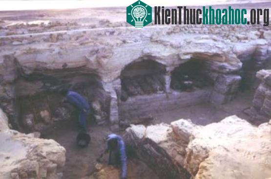 Hiện trường khai quật một khu hầm mộ giữa chốn Bahariya heo hút.