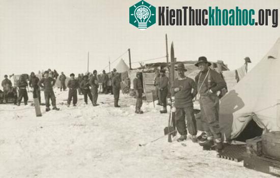 Hình ảnh chuyến thám hiểm Nam Cực của Shackleton.