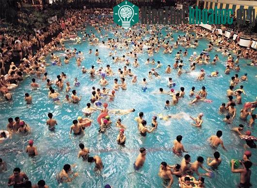 Bí kíp nhận biết nước bể bơi có chứa độc tố