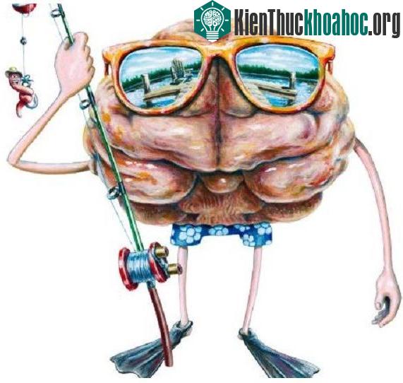 Những cách tập luyện não bộ giúp bạn có nghị lực phi thường