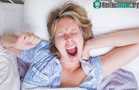 Ngáp giúp con người kiểm soát nhiệt độ của bộ não để tăng cường sự tỉnh táo. (Ảnh: Thinkstock)