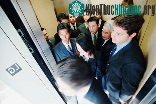 Trong thang máy, người ta tránh nhìn vào mắt nhau. (Ảnh: Discovery)