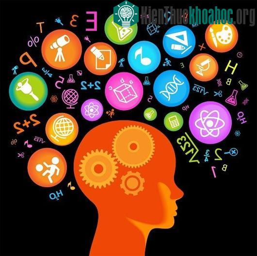 Những nước nào có chỉ số IQ cao nhất thế giới?