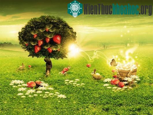 Wiseman tin rằng, vào những tuần gần hoặc đúng lúc trăng tròn nhất thì giấc mơ sẽ trở nên kì lạ và khó hiểu hơn