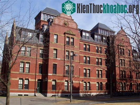 Đại học Harvard. (Ảnh:&nbsp;hqwallpapersplus.com)