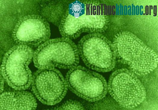 10 hiểu biết sai lầm về khoa học ảnh 0