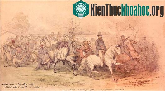 Đoàn thám hiểm ban đầu có tới 19 người