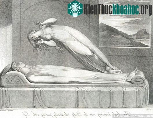 Đi tìm nguồn gốc về niềm tin bất tử ở người