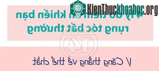 Lý do "không ai ngờ" khiến tóc rụng nhiều bất thường