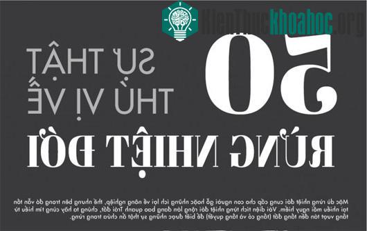 50 sự thật thú vị về rừng nhiệt đới