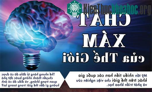 Chất xám của thế giới