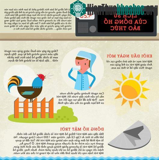 Lịch sử đồng hồ báo thức