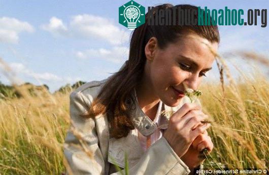 Phát hiện mới về bí ẩn mùi hương ở từng người