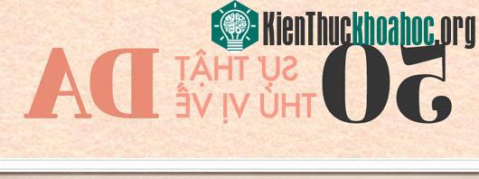 50 sự thật về da