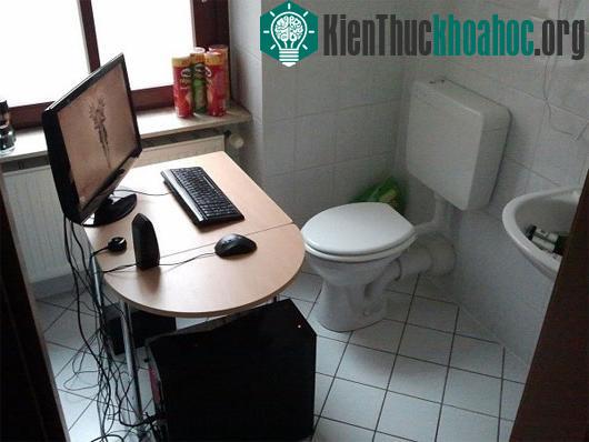 Các sự thật về thói quen vệ sinh khiến chúng ta té ngửa