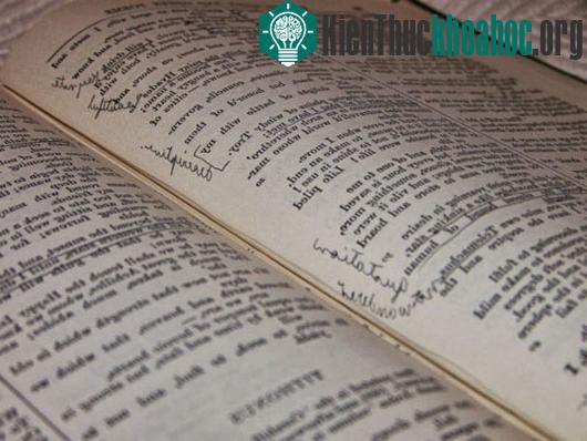 Những bí ẩn khoa học mới được giải đáp