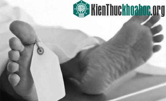 Tìm hiểu quá trình xác chết phân hủy dưới nước