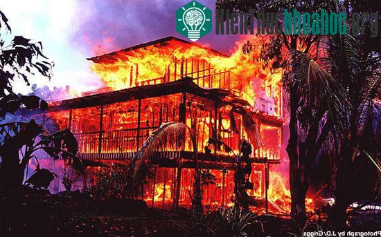 Những điều cần biết về ngọn Lửa - Điều khác biệt giữa người và vật