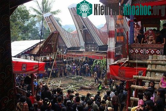 Những phong tục ma chay khác thường trên thế giới