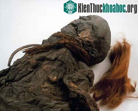 Vẻ đẹp "không tì vết" của những xác ướp đầm lầy