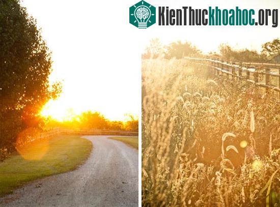 Kinh nghiệm chụp ảnh du lịch ngược sáng