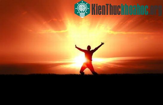 Con người không như thực vật để có thể sống chỉ bằng hành động phơi sương, phơi nắng - (Ảnh: therockchurches.com)