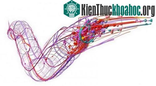 Mô hình 3D về các nơ ron thần kinh của giun tròn - (Ảnh: New World Notes)