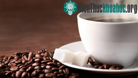 Uống thêm một cốc cà phê mỗi ngày giúp bạn giảm 7% nguy cơ mắc bệnh tiểu đường.
