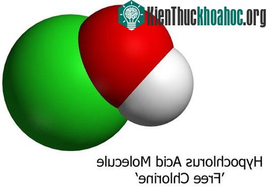Bí kíp nhận biết nước bể bơi có chứa độc tố