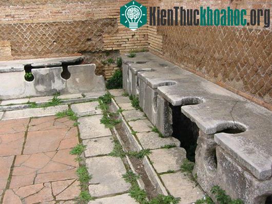 Lịch sử thú vị của giấy vệ sinh