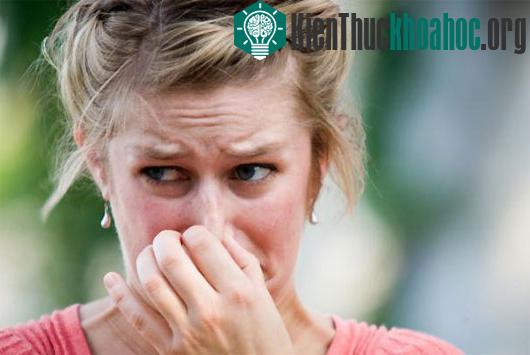 5 lầm tưởng ít biết về chuyện "đại tiện" của con người ảnh 1