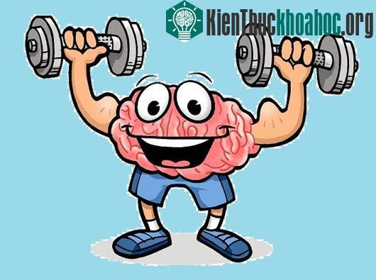 Lý do vì sao chúng ta quên kỷ niệm thời thơ ấu