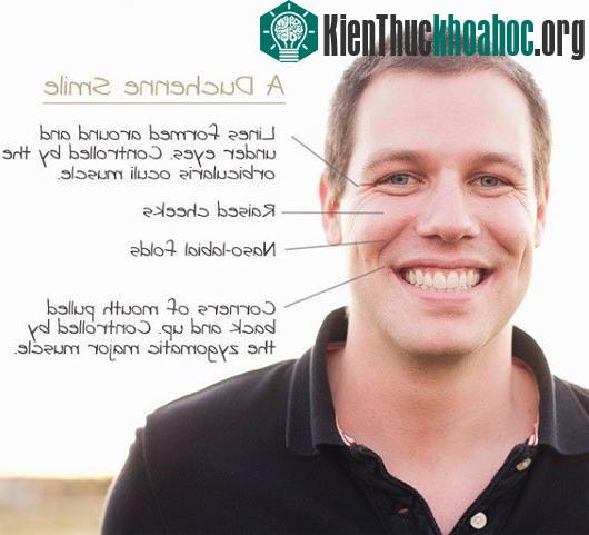 Dấu hiệu nhận biết một nụ cười thật sự