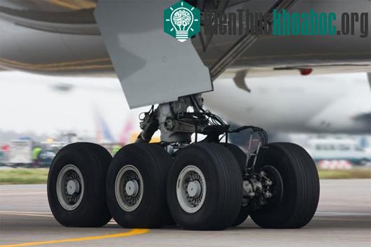 Tại sao ôm bánh máy bay mà vẫn sống sót thần kỳ?