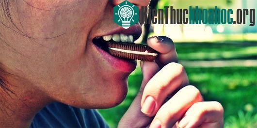 5 thứ dễ khiến con người nghiện nhất