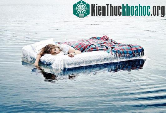 Check khả năng sinh tồn của con người khi gặp nạn