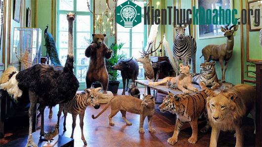 10 điều ấn tượng nhất tại Pháp