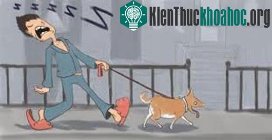 Mộng du và những điều có thể bạn chưa biết
