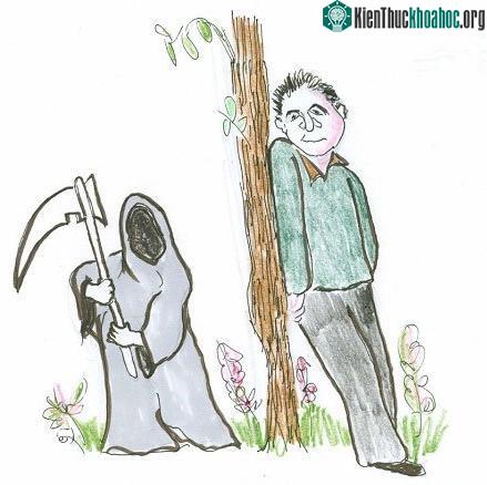 Tuổi càng cao, Thần Chết càng “lại gần”