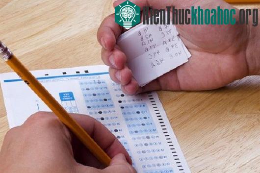 Những người sáng tạo thường hay bỏ qua những nguyên tắc trong khi giải quyết một vấn đề