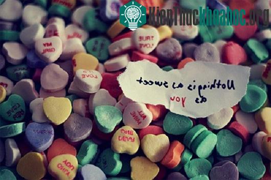 Khoa học đã tìm ra vị đích thực của tình yêu
